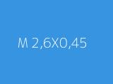 M 2,6X0,45 